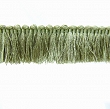 Grass