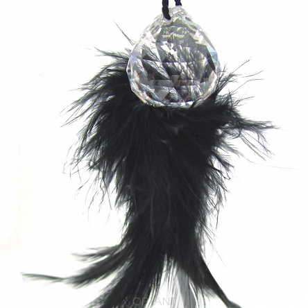 Feathers Anku