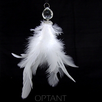 Feathers Eye