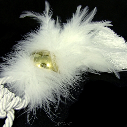 Feathers